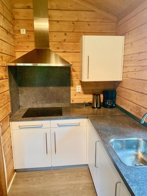 2 Bedroom Fins Chalet Gramsbergen Extérieur photo
